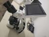 Laxco Brightfield Compound Microscope - 4