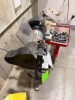Dayton 8 in Double-End Bench Grinder on Pedestal Stand - 2