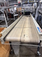 EMI Flat Belt Conveyor