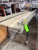 EMI Flat Belt Conveyor - 2